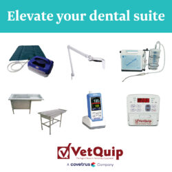 Elevate your dental suite