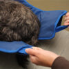 Covetrus Essentials Thermo Control Professional Heating Mat - Image 4