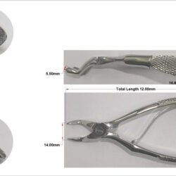 Extracting Forcep English Klei