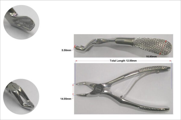 Extracting Forcep English Klei