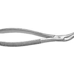 Root Fragment Forcep. Witzel