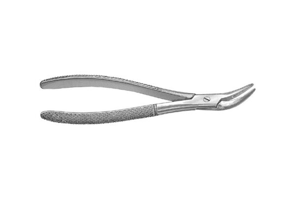 Root Fragment Forcep. Witzel