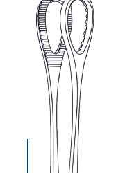 Foerster forceps 18cm