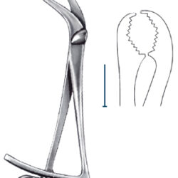 Verbrugge bone hold forc18cm