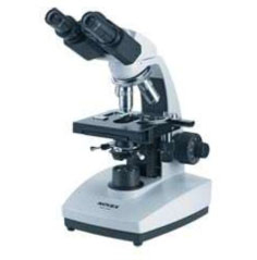 Novex B series Microscope